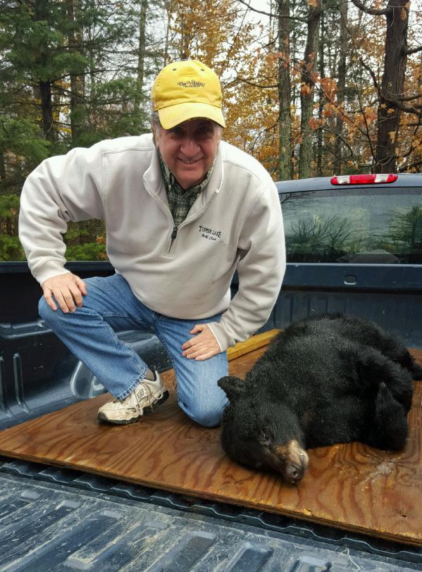 jimbear