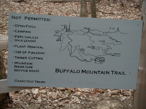 tnbuffalo1.jpg (185648 bytes)