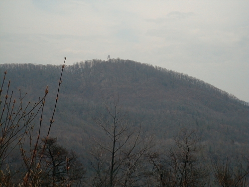 tncherokee4.jpg (141084 bytes)