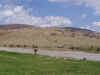 white.JPG (45044 bytes)